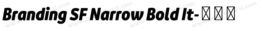 Branding SF Narrow Bold It字体转换